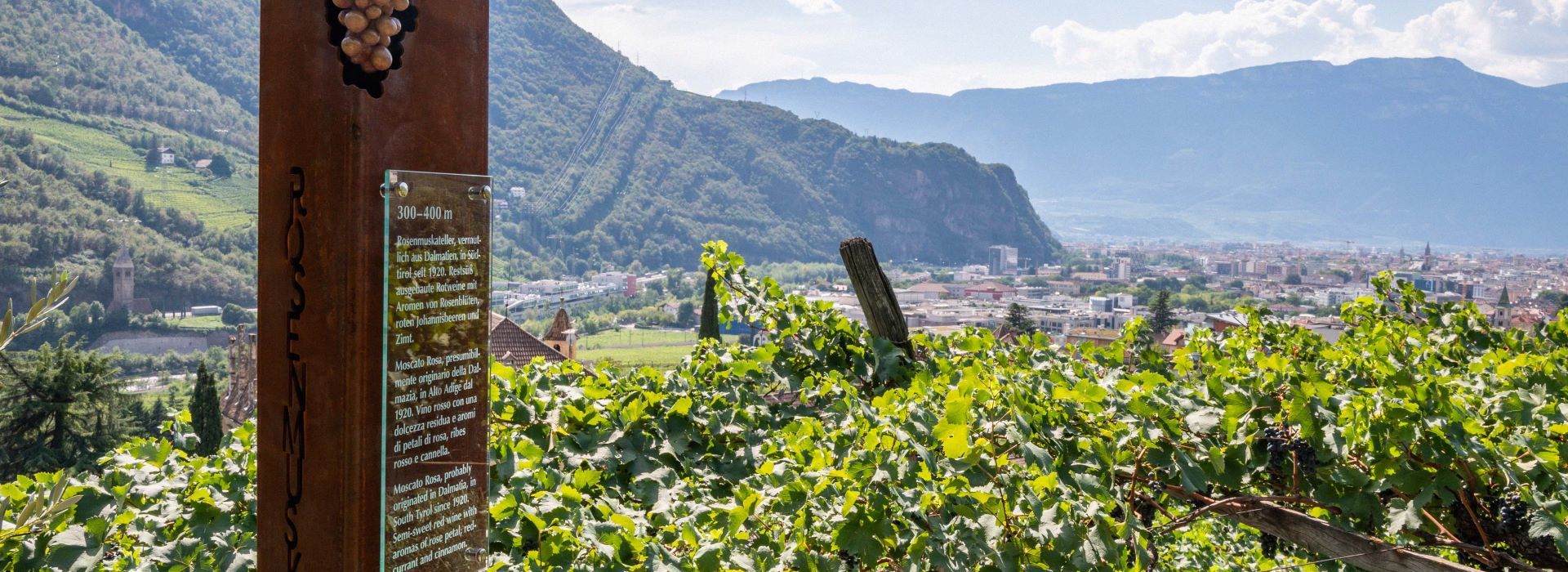 Sentiero del vino del Renon ©Associazione Turistica Renon_Foto Manuela Tessaro