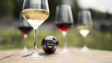 I vini dell'Alto Adige al top per 345 volte ©Vini Alto Adige_Florian Andergassen