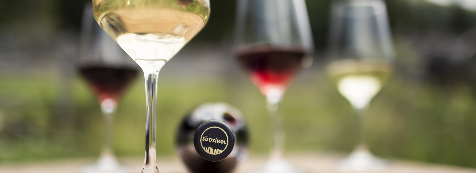 I vini dell'Alto Adige al top per 345 volte ©Vini Alto Adige_Florian Andergassen