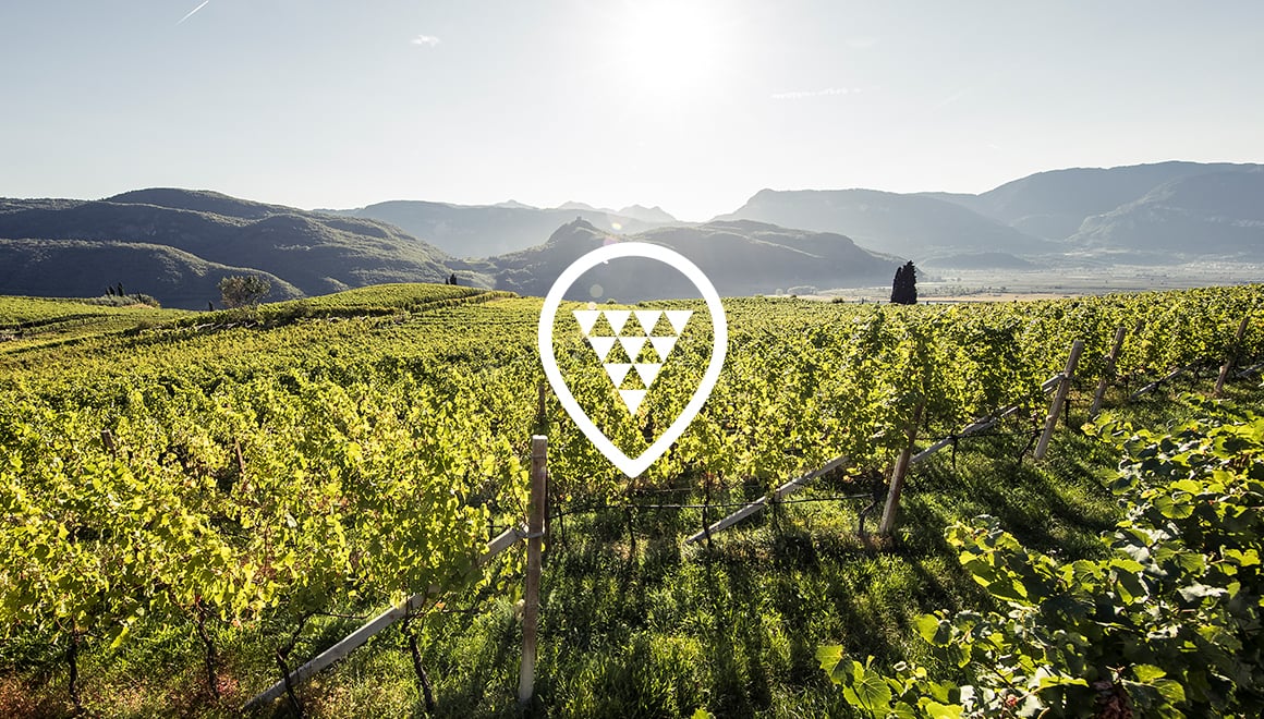 Il simbolo UGA Alto Adige