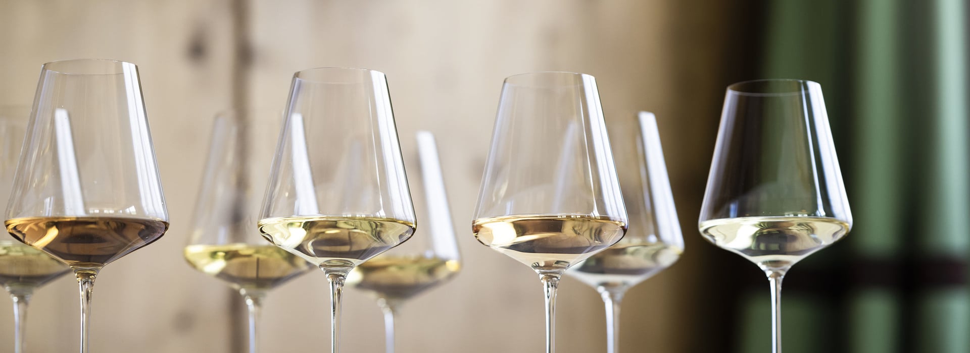 Annata 2024 ©Vini Alto Adige/Alex Filz