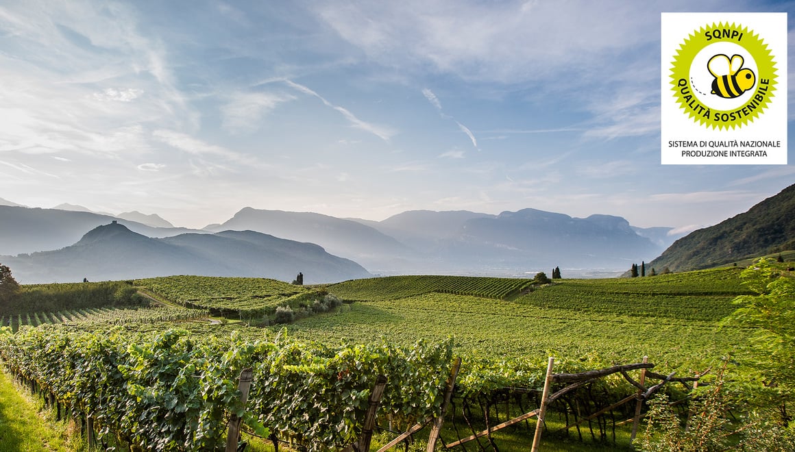 Un impegno, una certificazione e un marchio