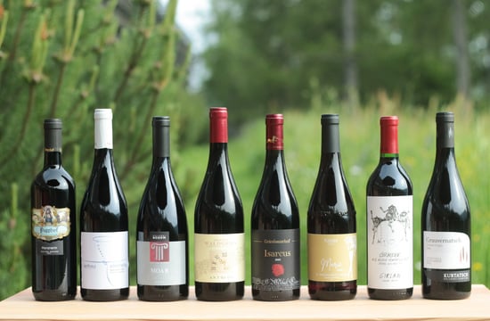 Vernatsch Cup Alto Adige 2025 © Eva Maria Zöggeler