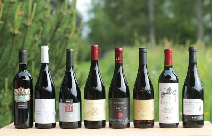 Vernatsch Cup Alto Adige 2025 © Eva Maria Zöggeler