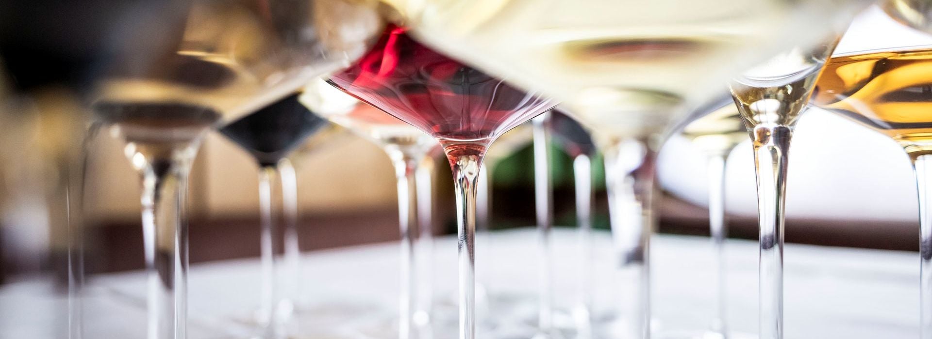 Molti bicchieri diversi con vari tipi di vino.