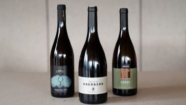 TOP3 Sauvignon Blanc - annata 2023 ©Associazione Sauvignon Alto Adige