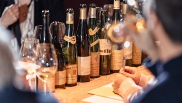 ©Accademia del Vino Alto Adige/Thaler Patrick Photography